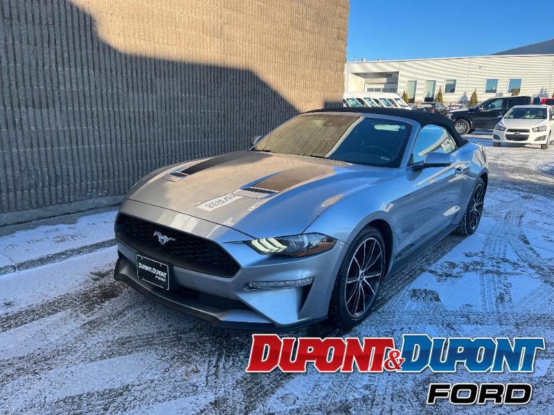 2022 Ford Mustang