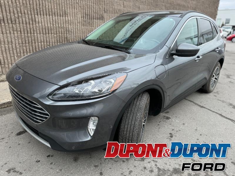 2022 Ford Escape
