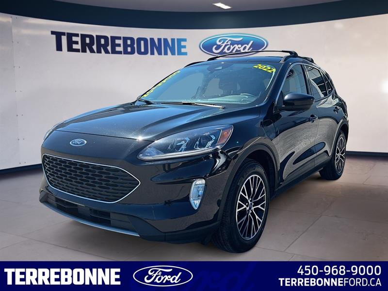 2022 Ford Escape