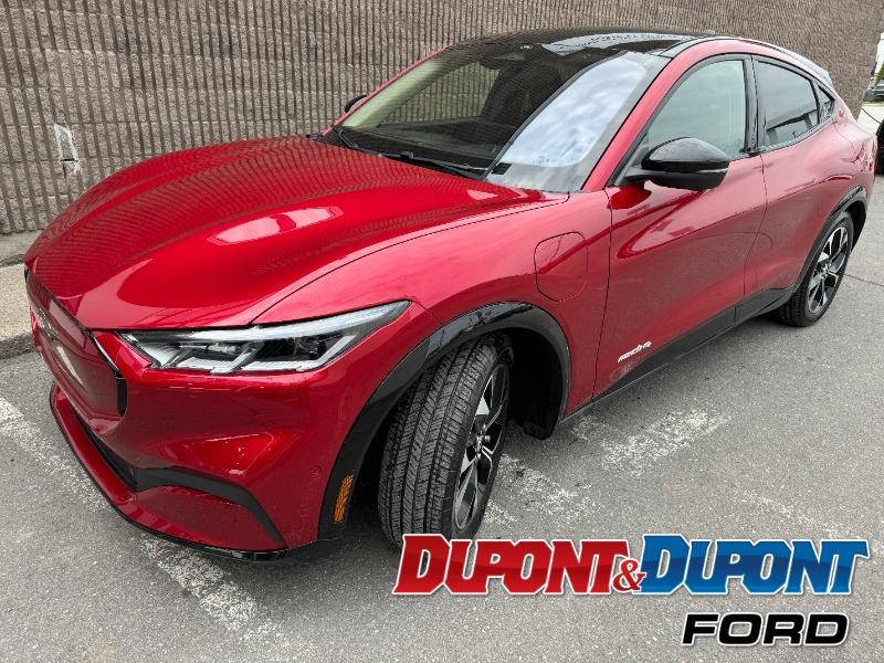 2021 Ford Mustang Mach-e