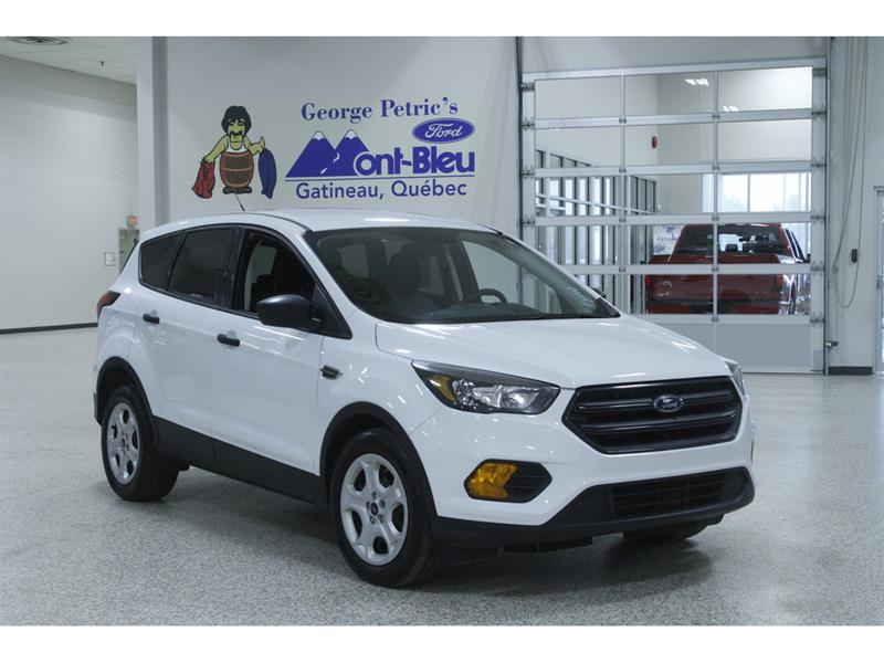 2019 Ford Escape
