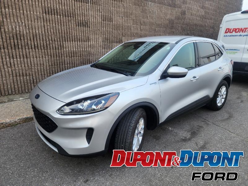 2020 Ford Escape