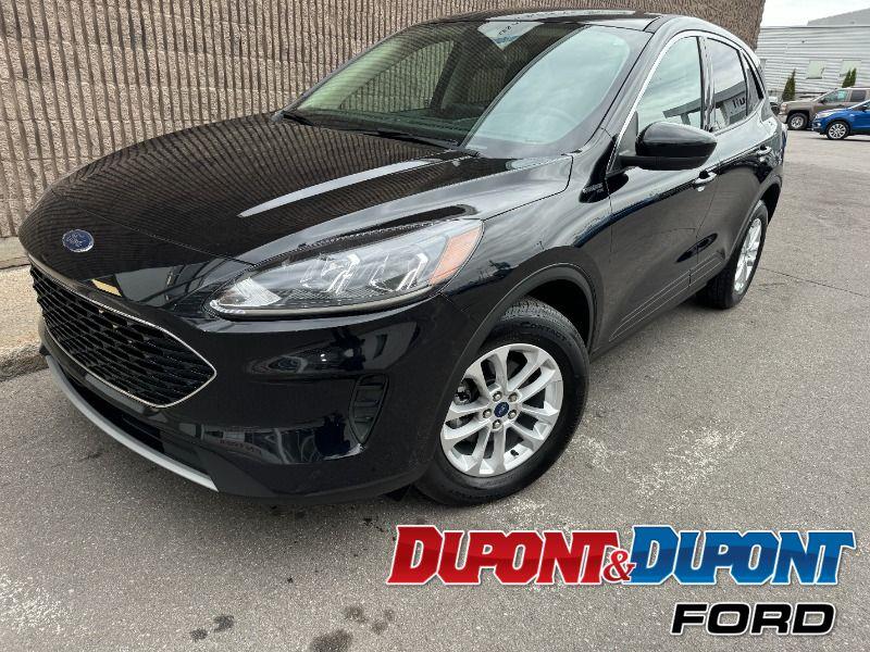 2020 Ford Escape