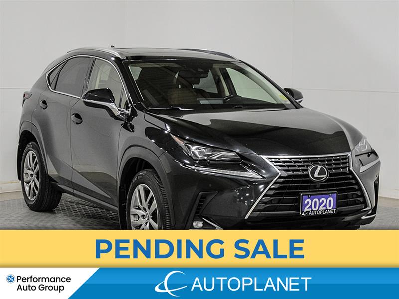 2020 Lexus NX 300
