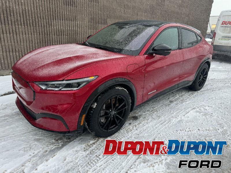 2022 Ford Mustang Mach-e
