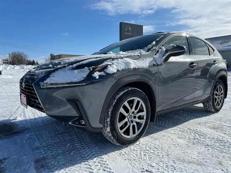 2021 Lexus NX 300