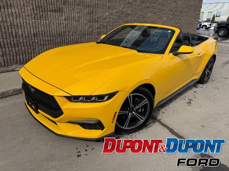 2024 Ford Mustang