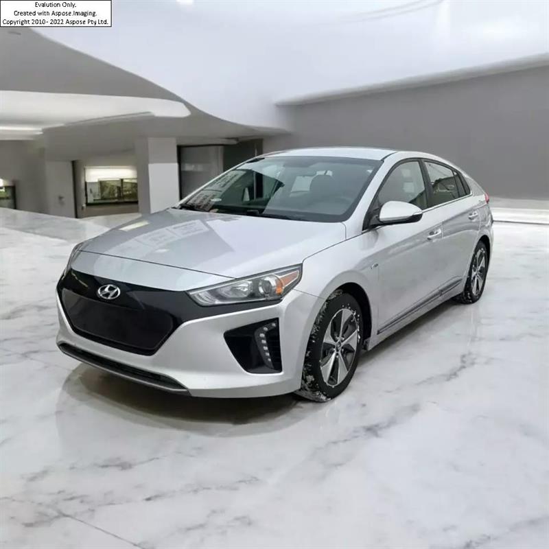 2019 Hyundai Ioniq