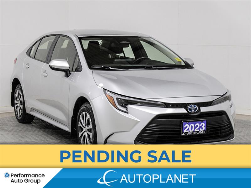 2023 Toyota Corolla