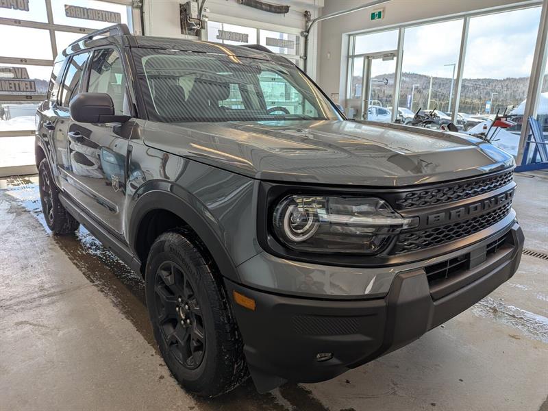 Ford Bronco 4