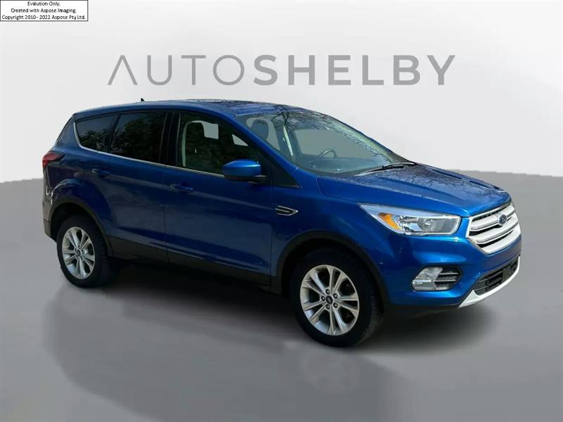 2019 Ford Escape