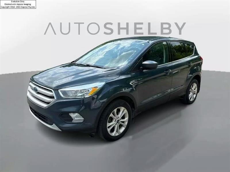 2019 Ford Escape